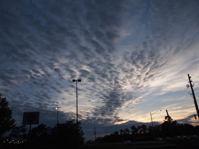 [This evening sky is shades of blue and grey aboev the horizon. The sun set behind the clouds so there's only lightness as a backdrop against the rows of small puffy clouds in the sky.]